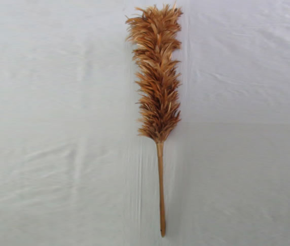 feather duster b103