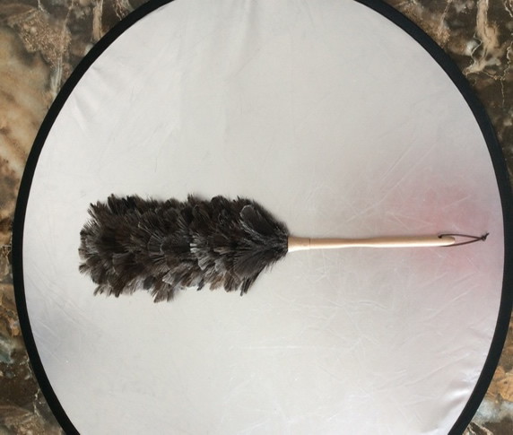 ostrich feather duster mqy32