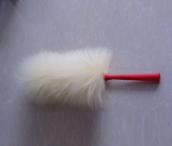 wool duster ws102