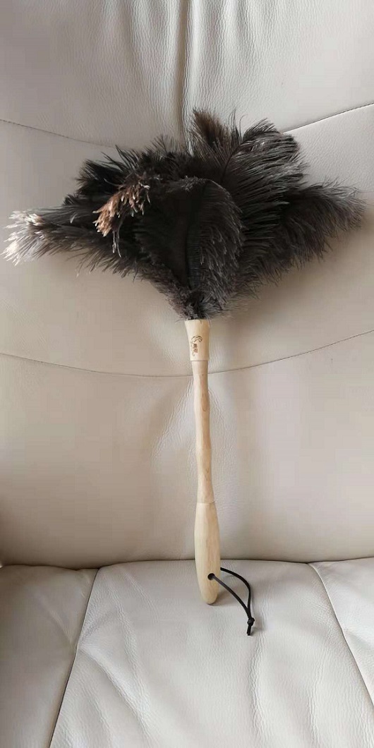 new style ostrich feather duster