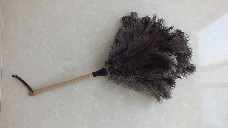 feather duster